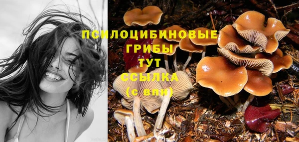 метадон Аркадак
