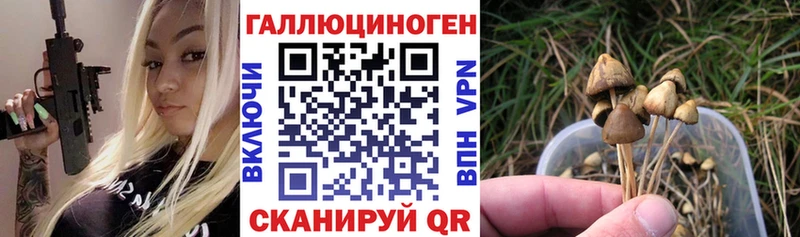 кракен ссылки  даркнет сайт  Невинномысск  Галлюциногенные грибы GOLDEN TEACHER 
